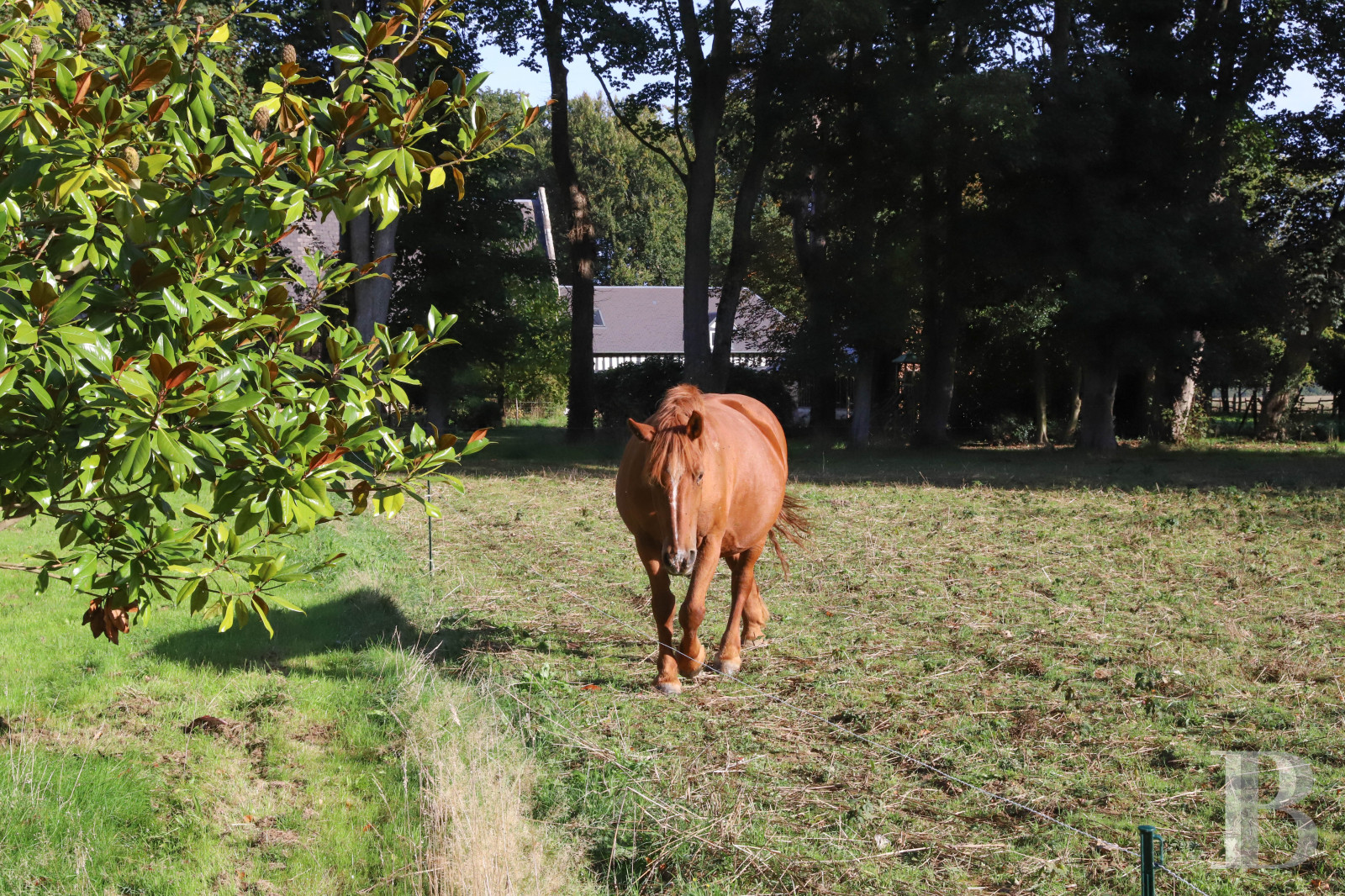 À proximité d’Étretat, en Seine-Maritime, un manoir du 14e siècle où se côtoient harmonieusement les époques - photo  n°7
